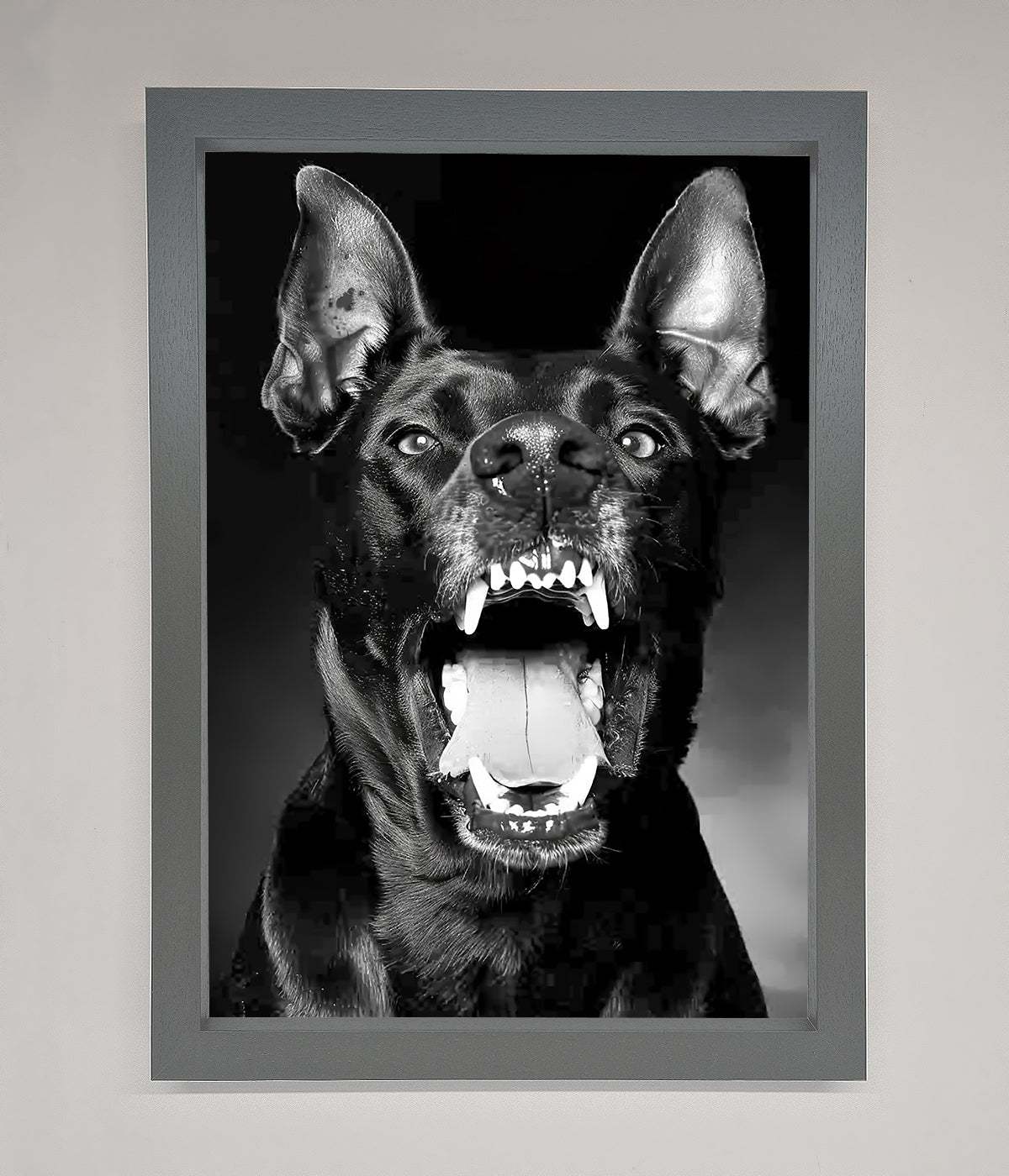 Angry Doberman Dog Framed Wall Art Dark Grey