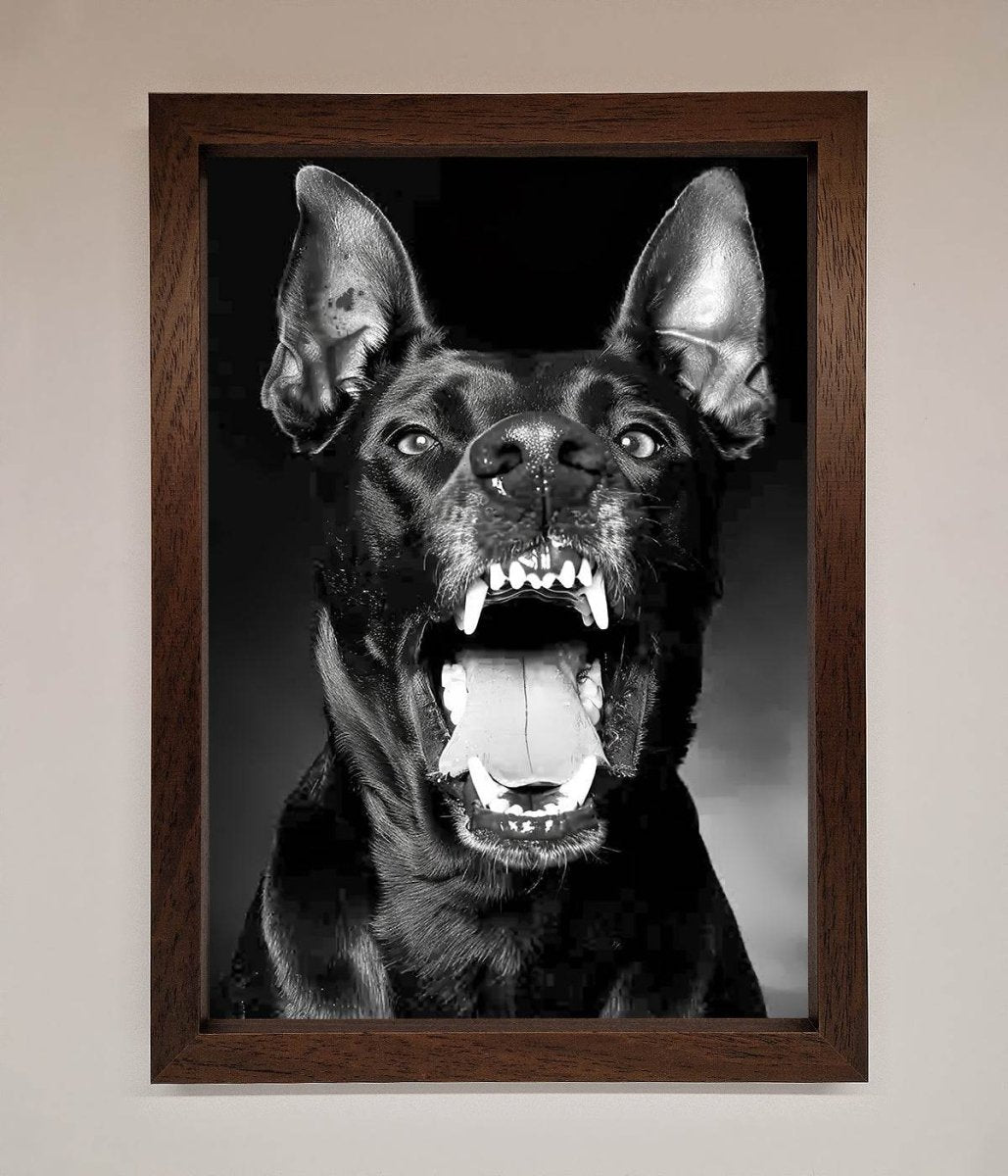 Angry Doberman Dog Framed Wall Art Walnut
