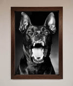 Angry Doberman Dog Framed Wall Art Walnut