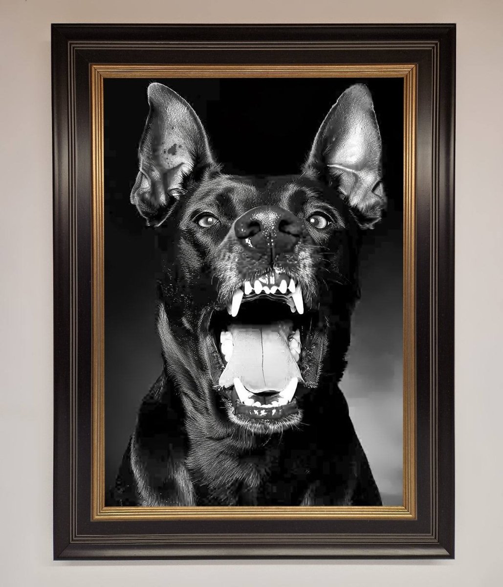 Angry Doberman Dog Framed Wall Art Black Gold