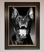 Angry Doberman Dog Framed Wall Art Black Gold