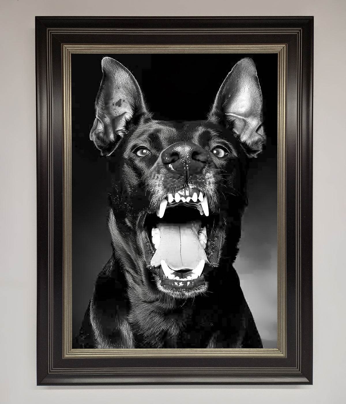 Angry Doberman Dog Framed Wall Art Black Silver