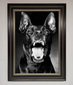 Angry Doberman Dog Framed Wall Art Black Silver