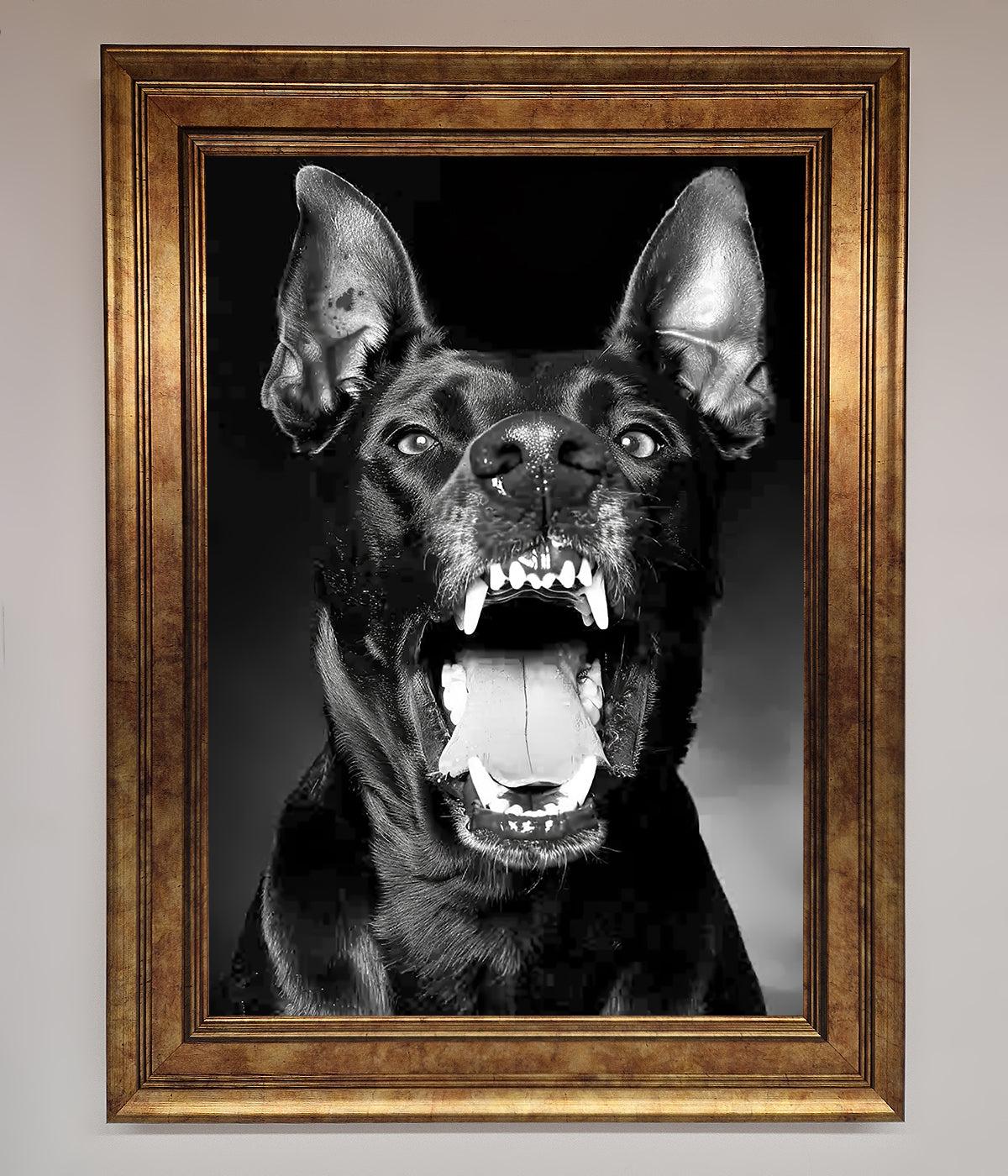 Angry Doberman Dog Framed Wall Art Bronze