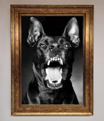 Angry Doberman Dog Framed Wall Art Bronze