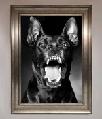 Angry Doberman Dog Framed Wall Art Silver
