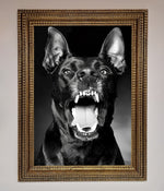 Angry Doberman Dog Framed Wall Art Ornate Gold