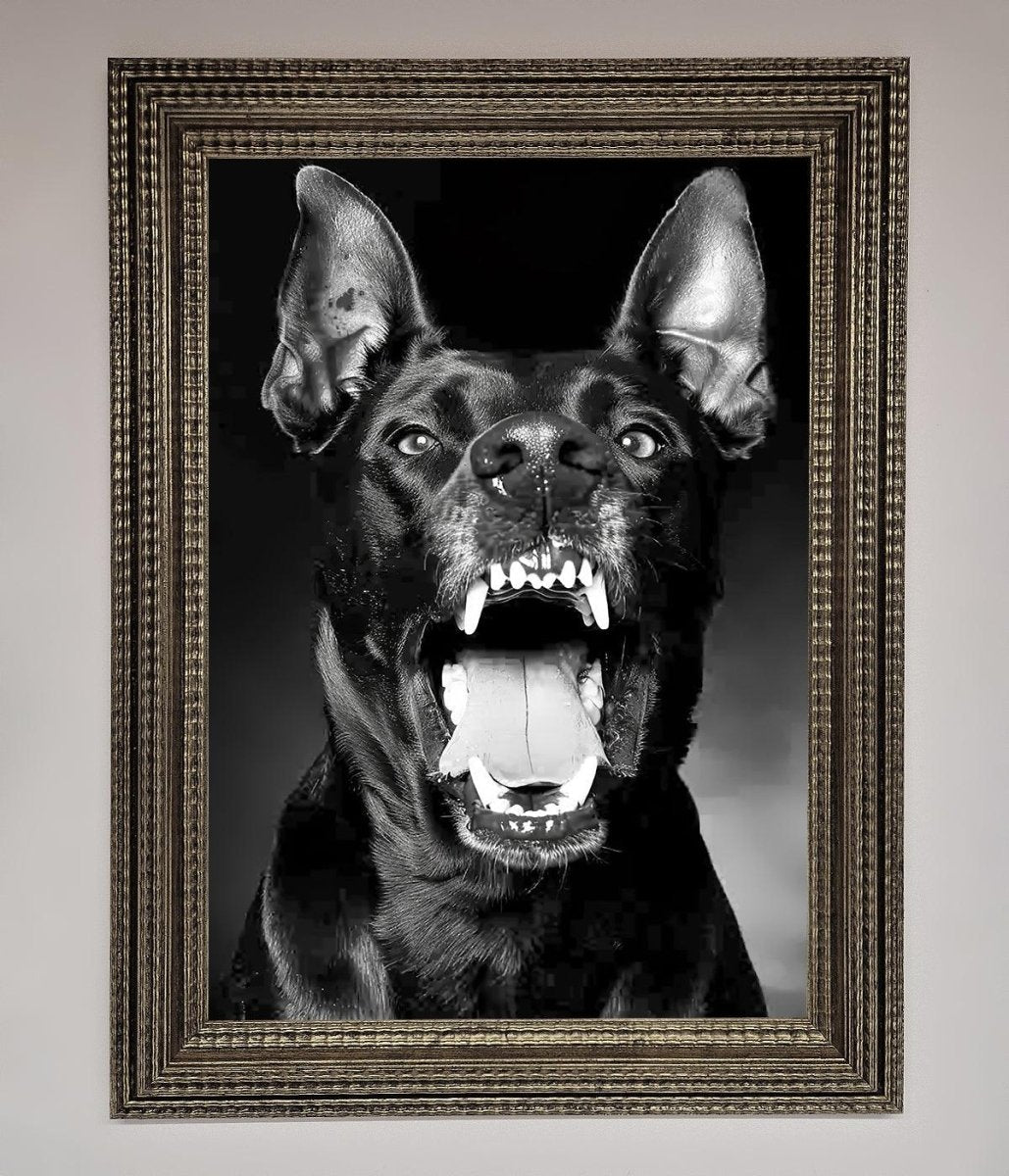 Angry Doberman Dog Framed Wall Art Ornate Silver