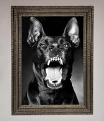 Angry Doberman Dog Framed Wall Art Ornate Silver