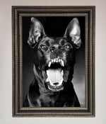 Angry Doberman Dog Framed Wall Art Ornate Silver Black