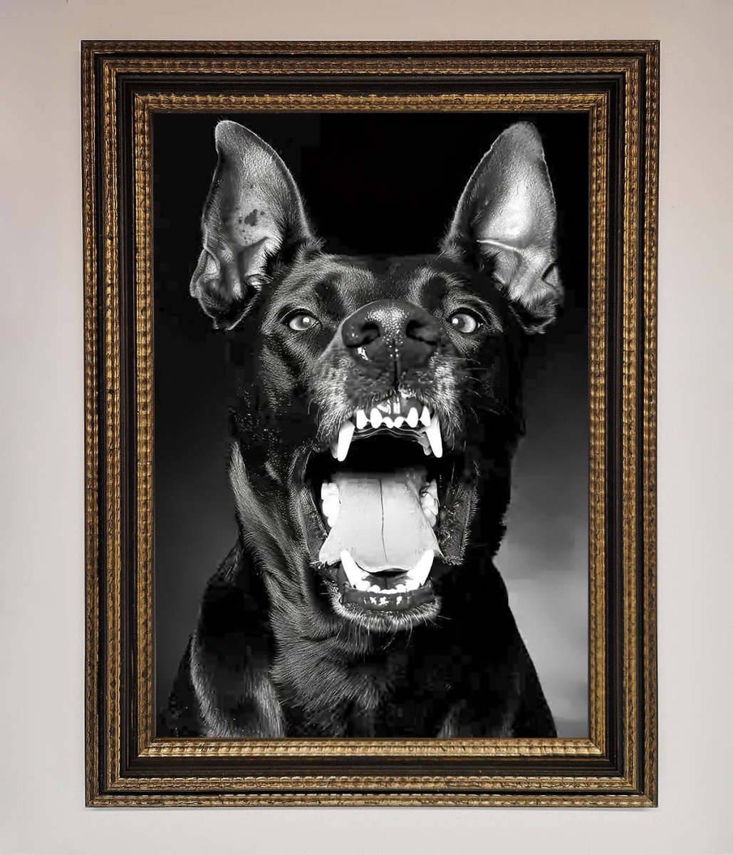 Angry Doberman Dog Framed Wall Art Ornate Gold Black