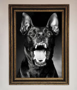 Angry Doberman Dog Framed Wall Art Ornate Gold Black