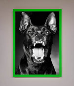 Angry Doberman Dog Framed Wall Art Neon Dark Green