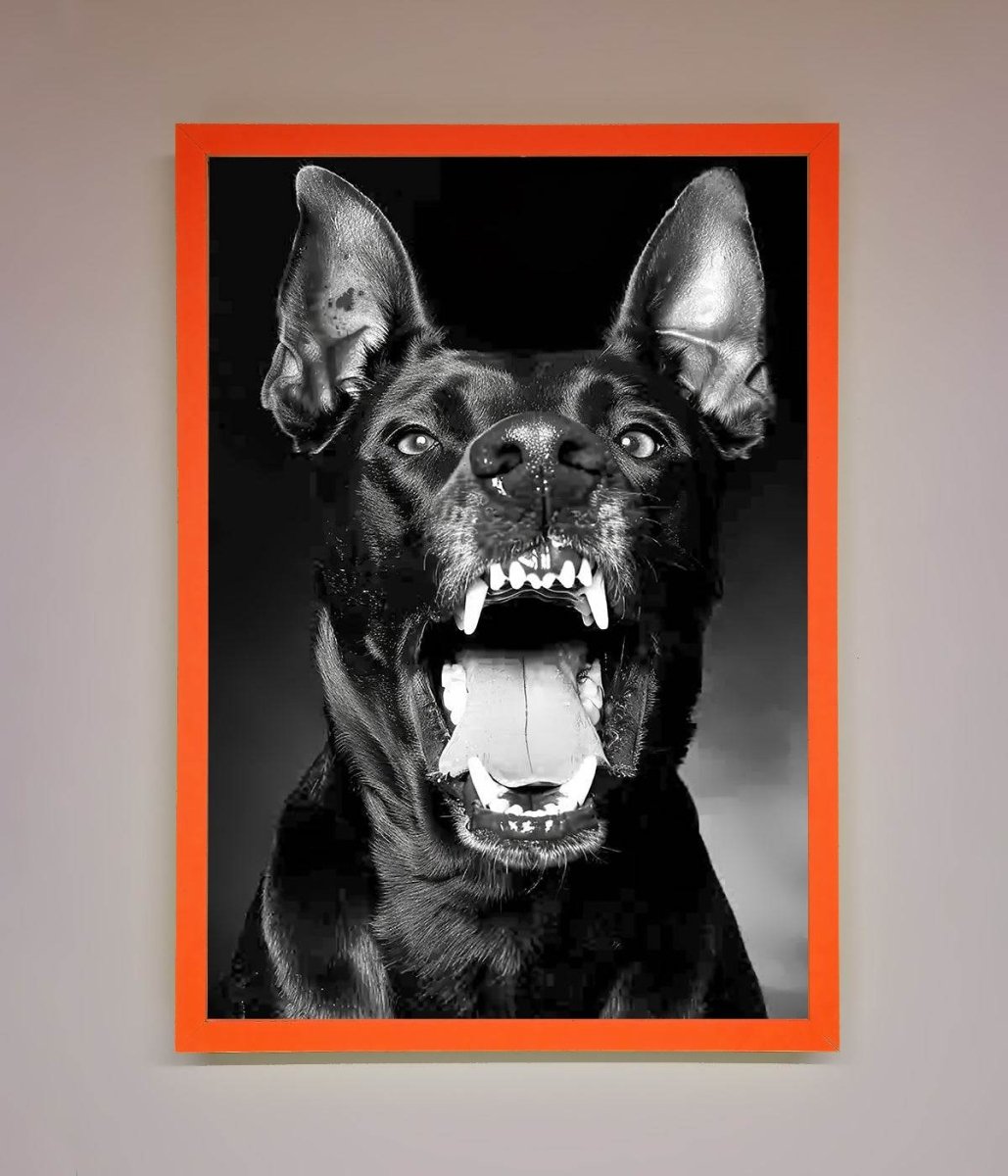 Angry Doberman Dog Framed Wall Art Neon Orange