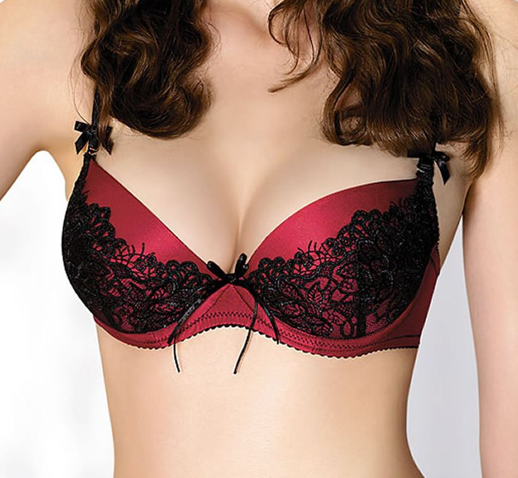 Gracya Carmina Bra Black Lace & Red Satin