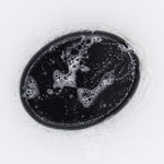 Lemon Charcoal Soap Bar 85g