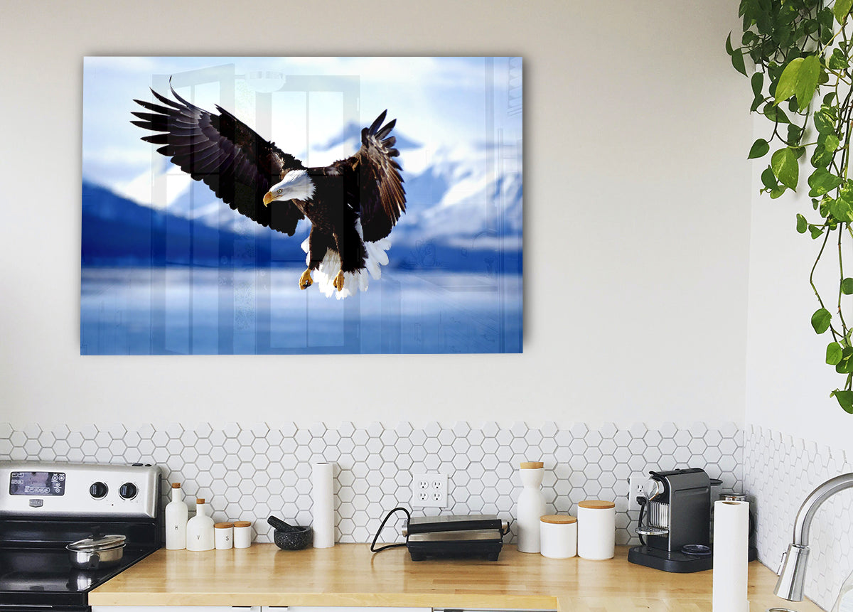 Bald Eagle In Flight Alaska