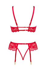 Beauty Night Rose Delicate Red Lace Sheer Garter Lingerie Set Red