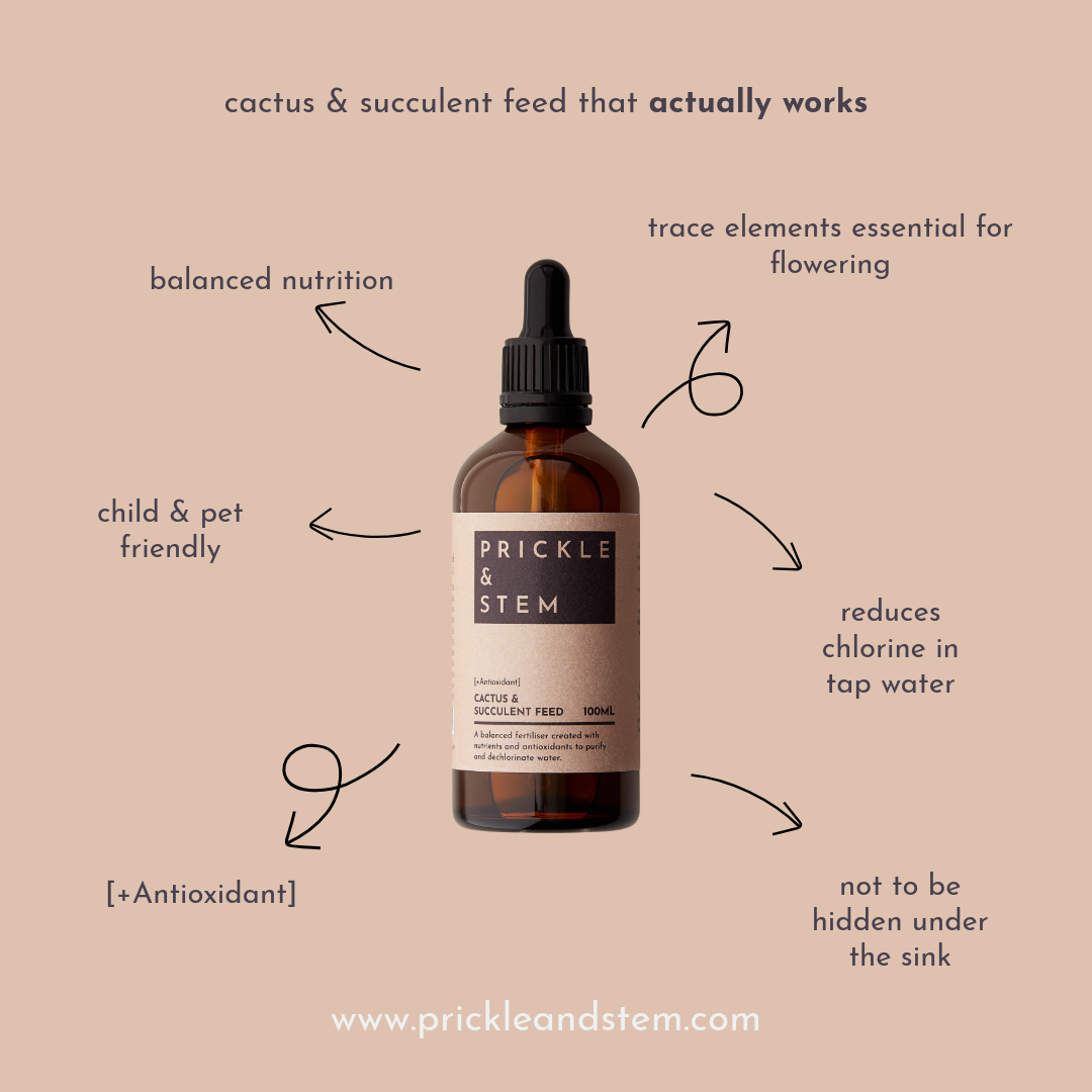 Prickle & Stem Cactus & Succulent Feed [+Antioxidant]