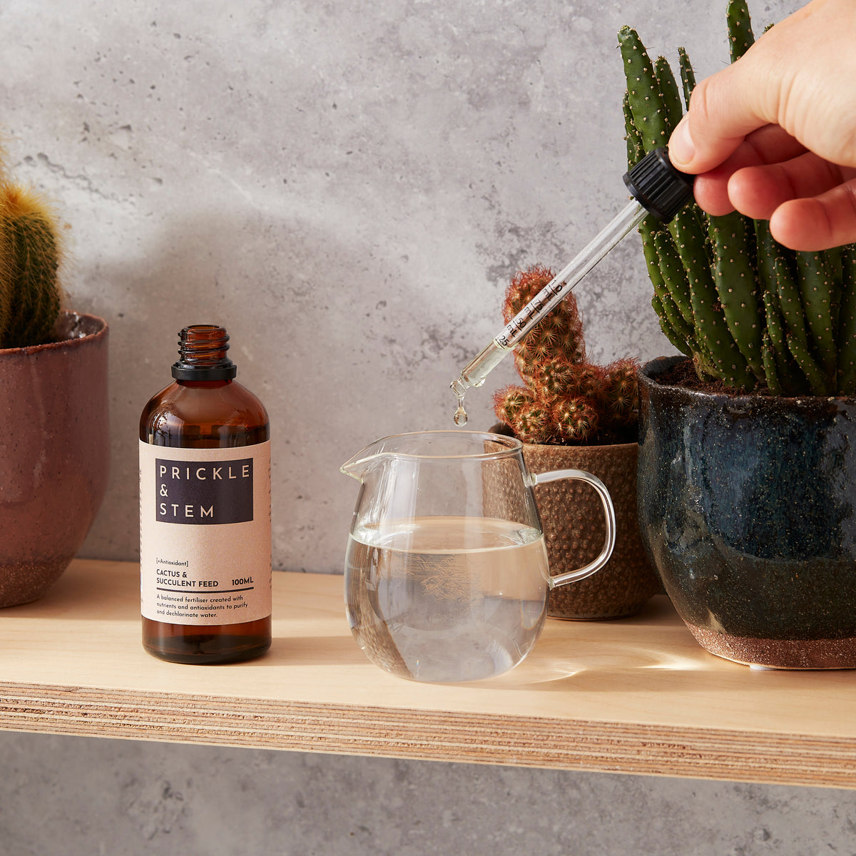 Prickle & Stem Cactus & Succulent Feed [+Antioxidant]