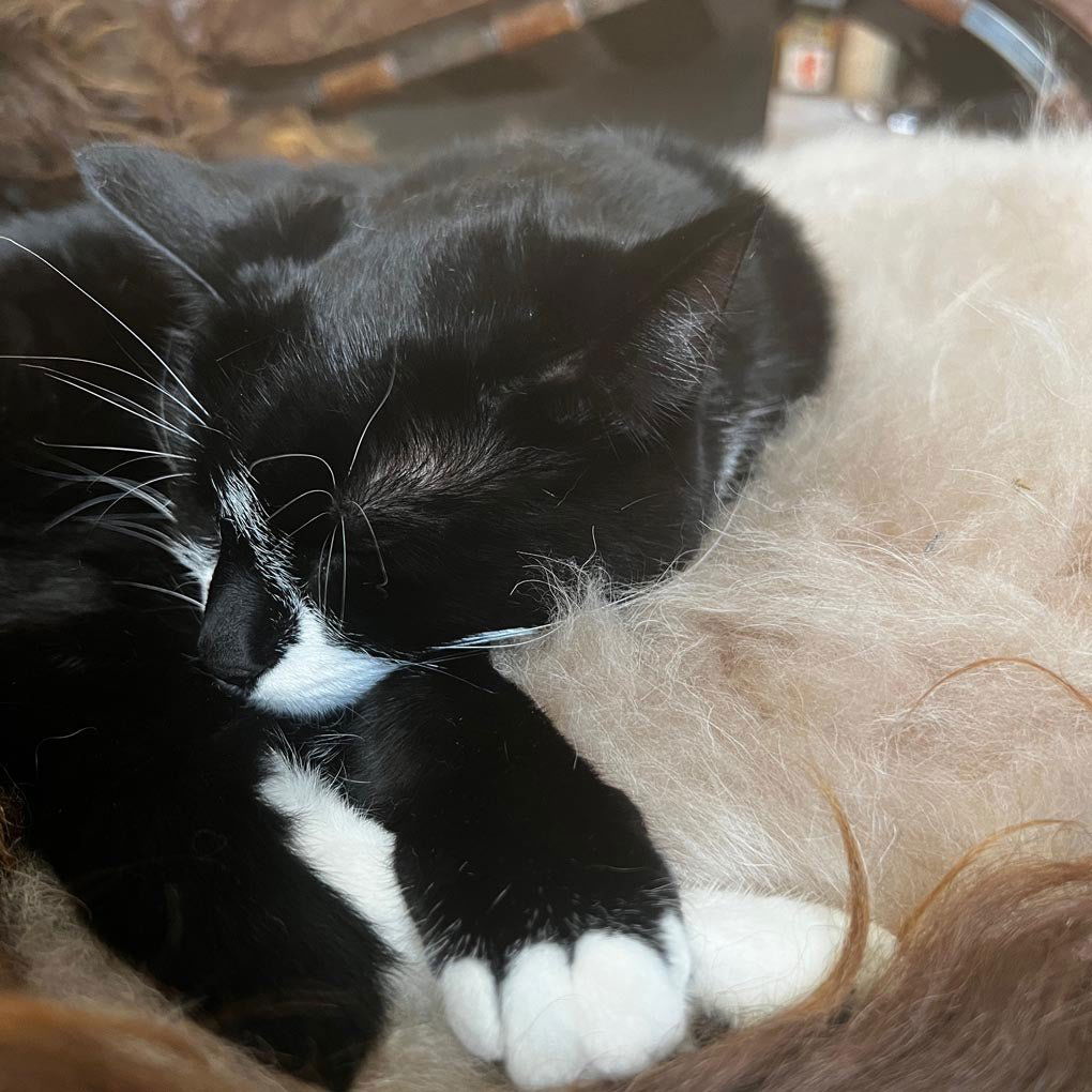 Cashmere Fur Cushion | Honey Gold Square 45cm