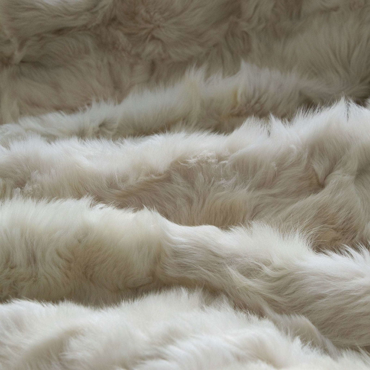 Champagne Tuscan Shearling Throw | Rug | Wildash London