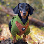 Soft Cotton Blend Dog Hoodie Black