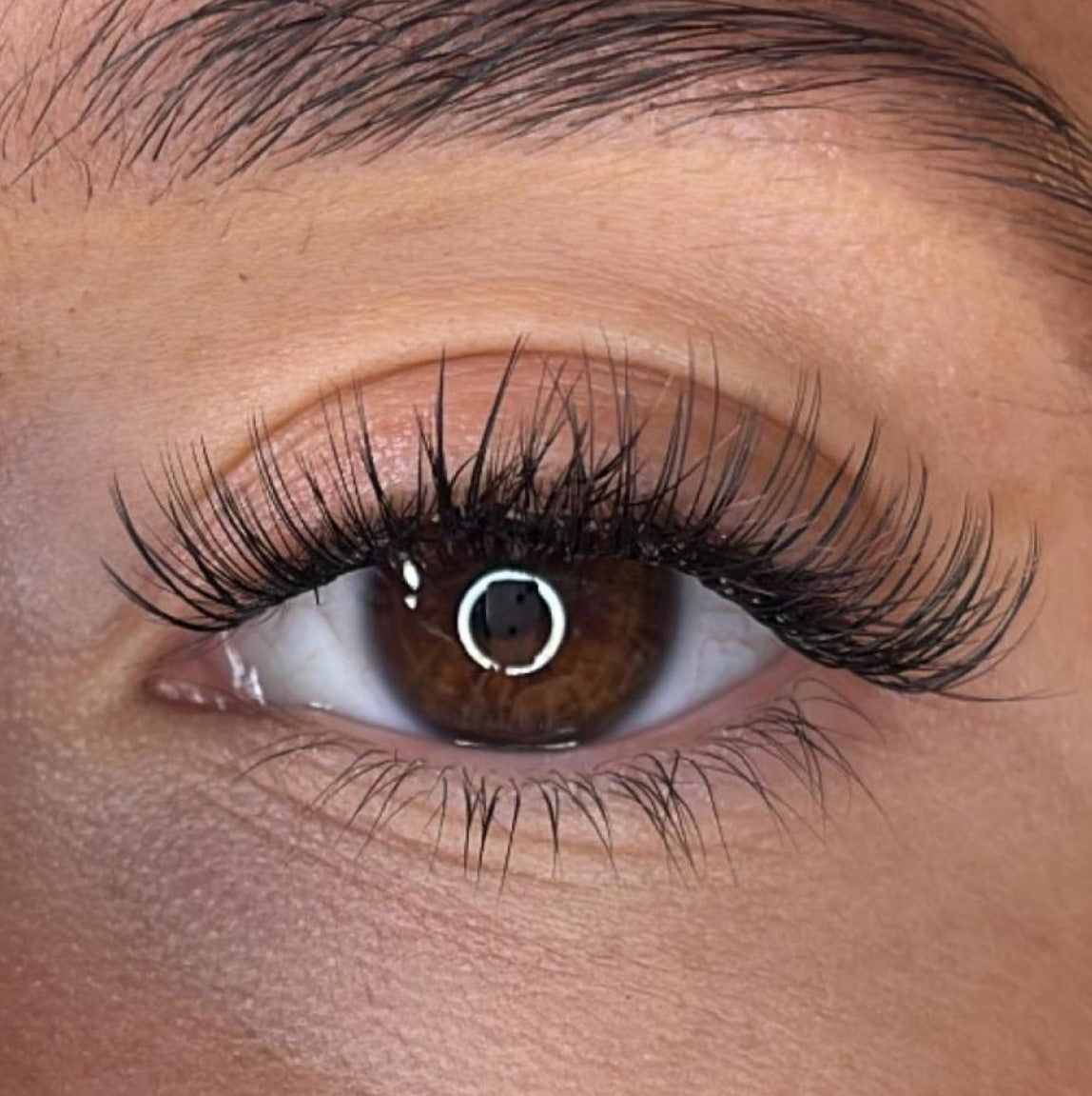 Elva Lash Ribbons® Collections