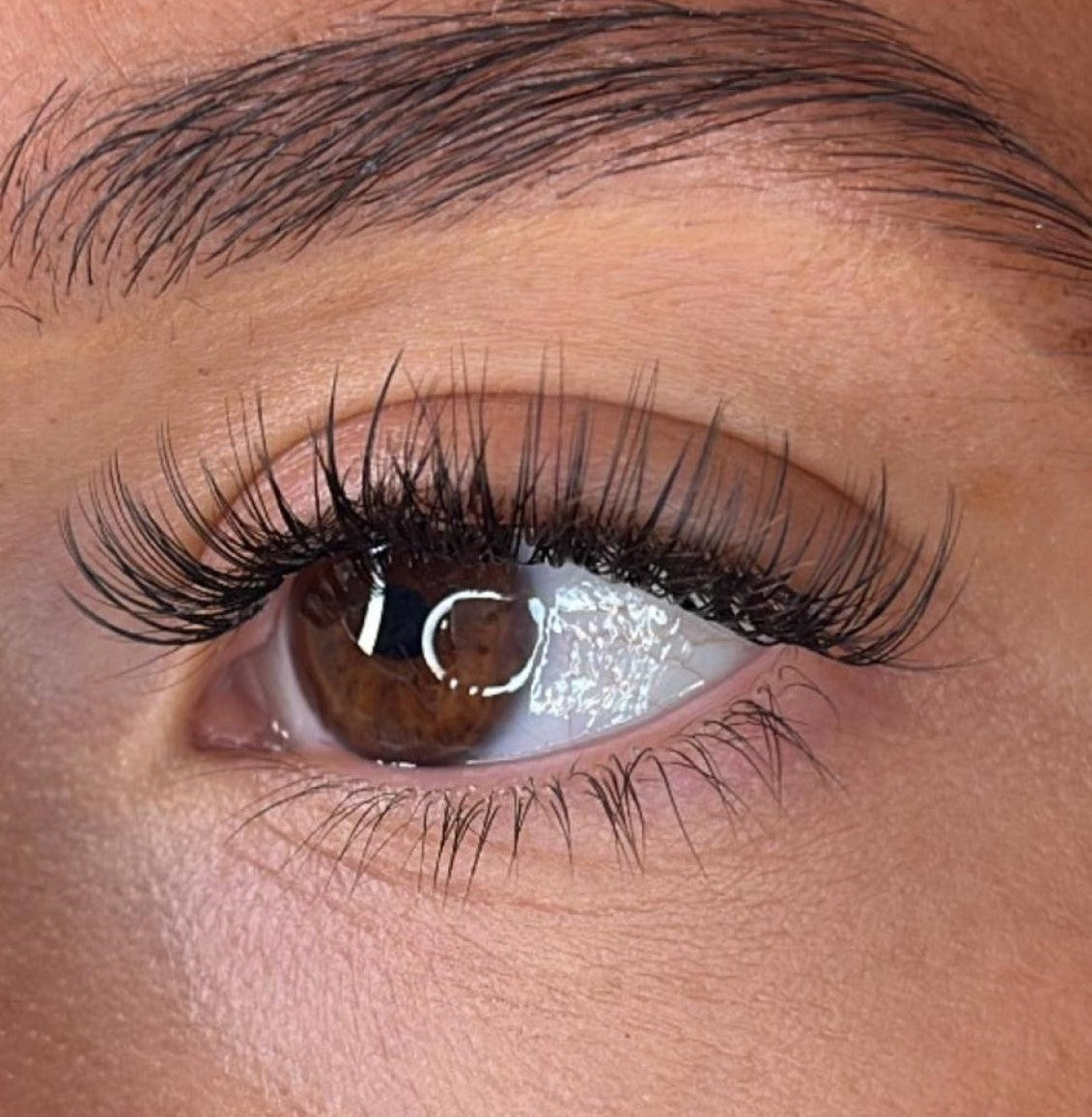 Elva Lash Ribbons® Collections