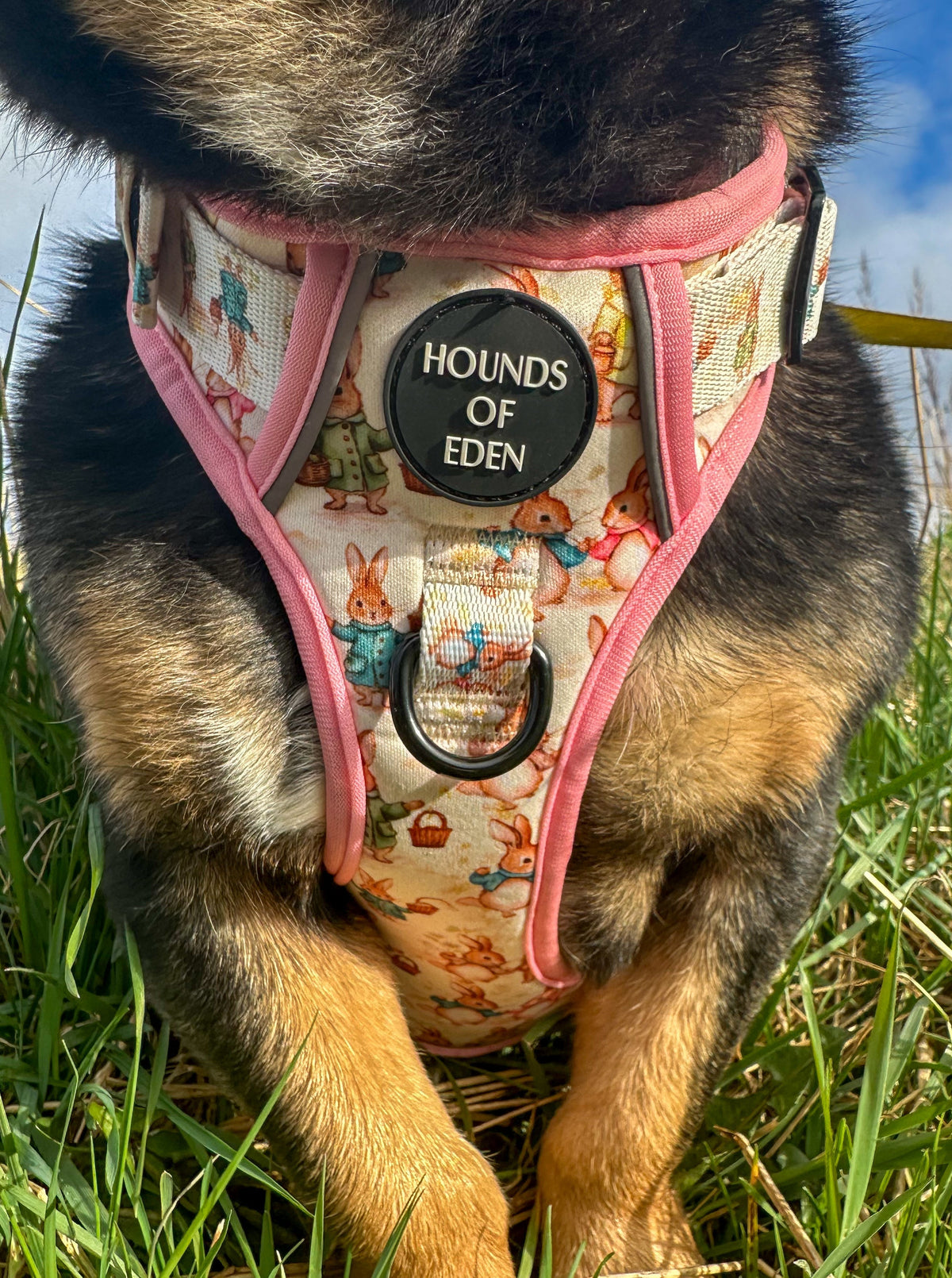 Bunny Tales - Pink, Dog Supaw Strong™ Lite Harness (XS-XL)