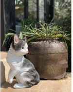 Garden Ornaments Cartoon Animals Cute Kittens