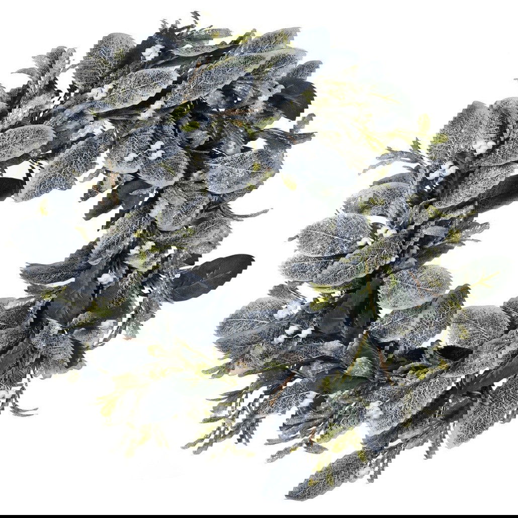 Frosted Eucalyptus And Mistletoe Wreath