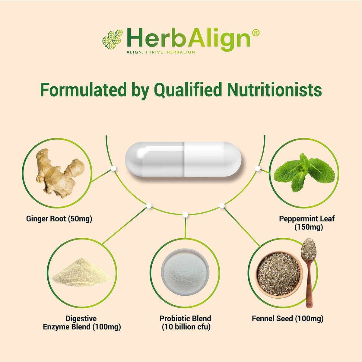 Herbalign Digestive Support Capsules