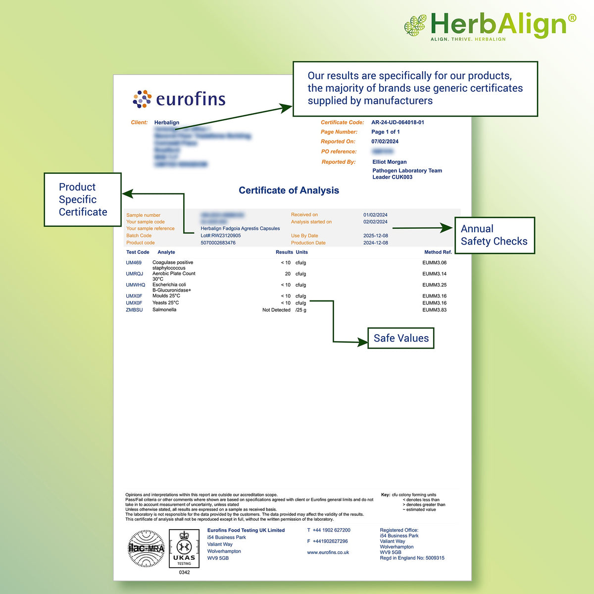 Herbalign Fadogia Agrestis Capsules – Natural Testosterone & Libido Support for Men's Vitality, Hormonal Balance, and Sexual Health
