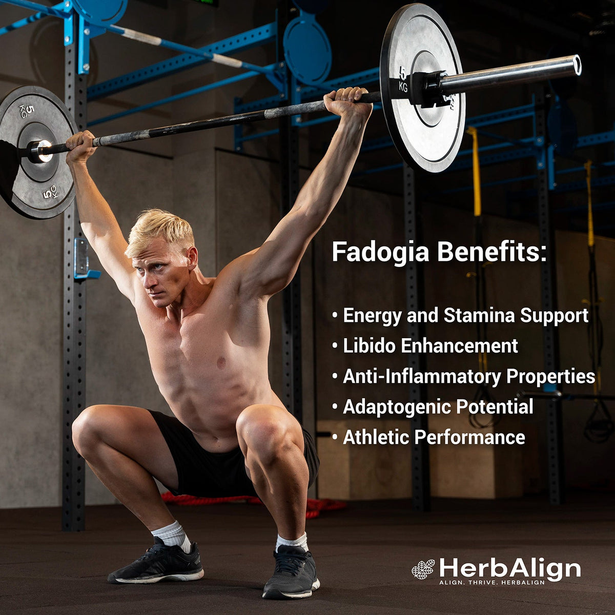 Herbalign Fadogia Agrestis Capsules – Natural Testosterone & Libido Support for Men's Vitality, Hormonal Balance, and Sexual Health