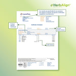 Herbalign Nattokinase Capsules