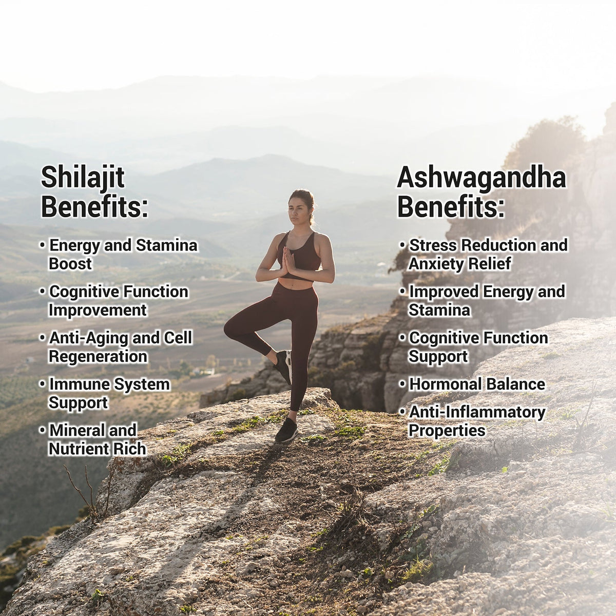 Herbalign Organic Ashwagandha & Shilajit - Natural Pure Raw Caps UK Lab tested