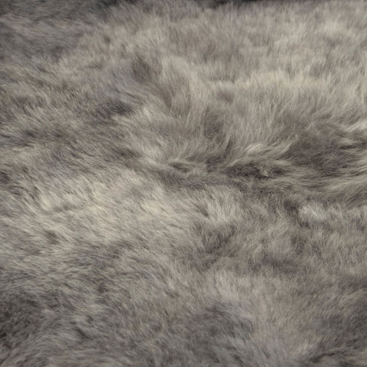 Icelandic Sheepskin Rug Cool Grey Shorn 50mm
