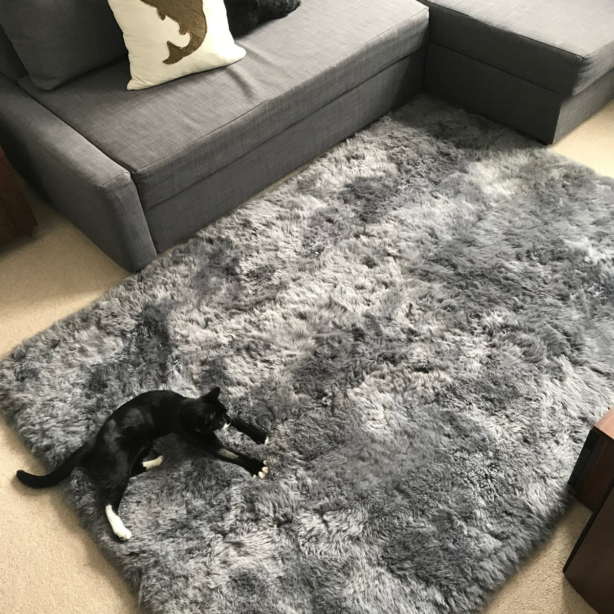 Icelandic Sheepskin Rug Cool Grey Shorn 50mm Straight Edges 60cm x 120cm
