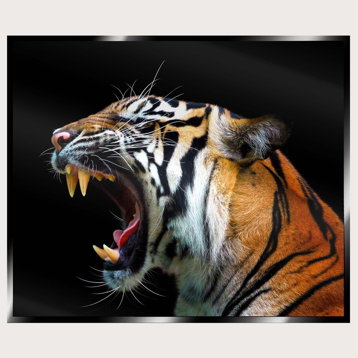 Illuminated Wall Art - Angry Tiger