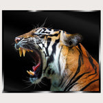 Illuminated Wall Art - Angry Tiger