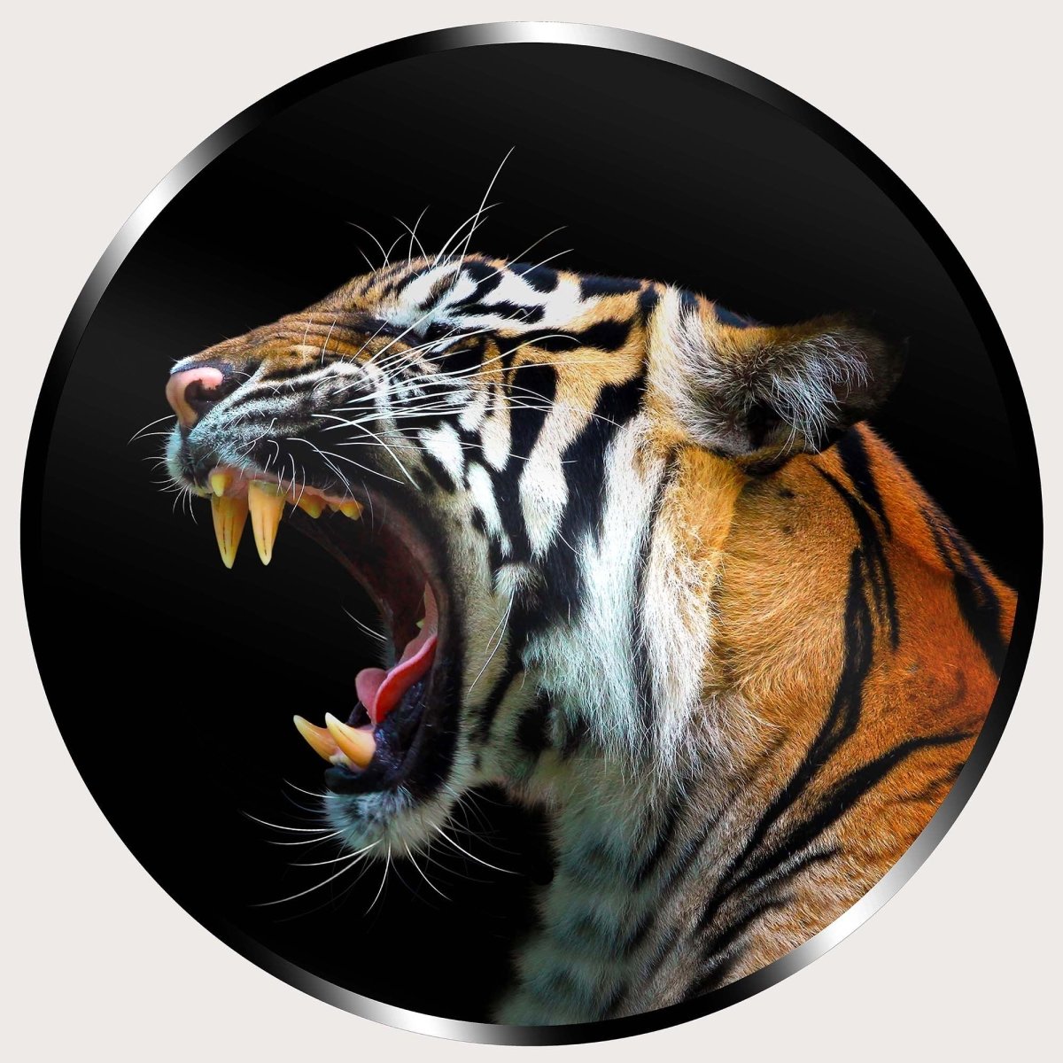 Illuminated Wall Art - Angry Tiger