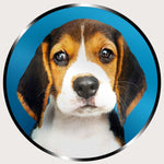 Illuminated Wall Art - Puppy