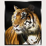 Illuminated Wall Art - Tiger 2