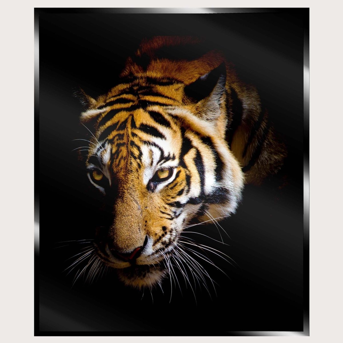 Illuminated Wall Art - Tiger 3