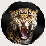 Illuminated Wall Art - Tiger 5