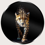 Illuminated Wall Art - Wild Leopard