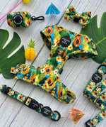 Pupaya Design Dog Harness