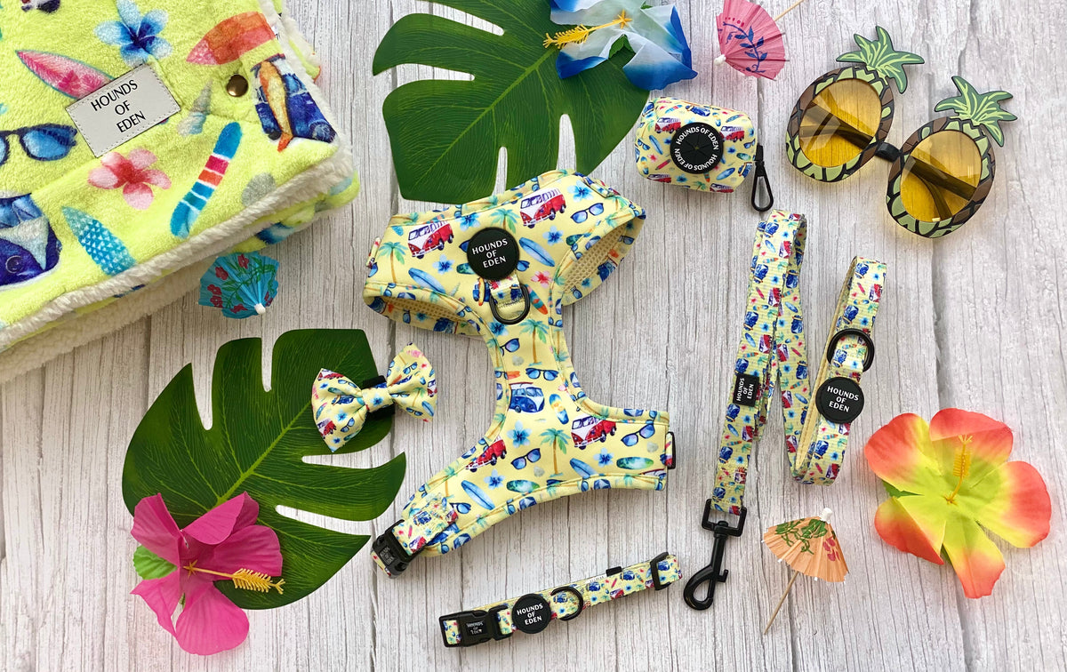 Surf's Up!- Dog Harness