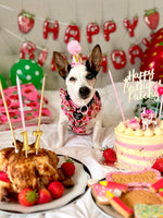 Strawberry Patch Design Dog Harness